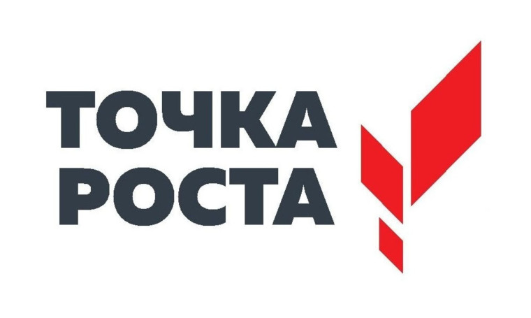 Фестиваль лучших педагогических практик.