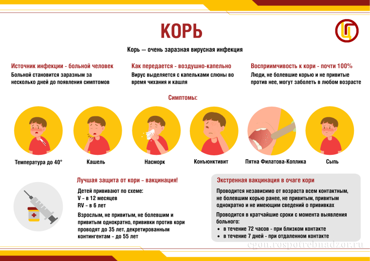 Корь.